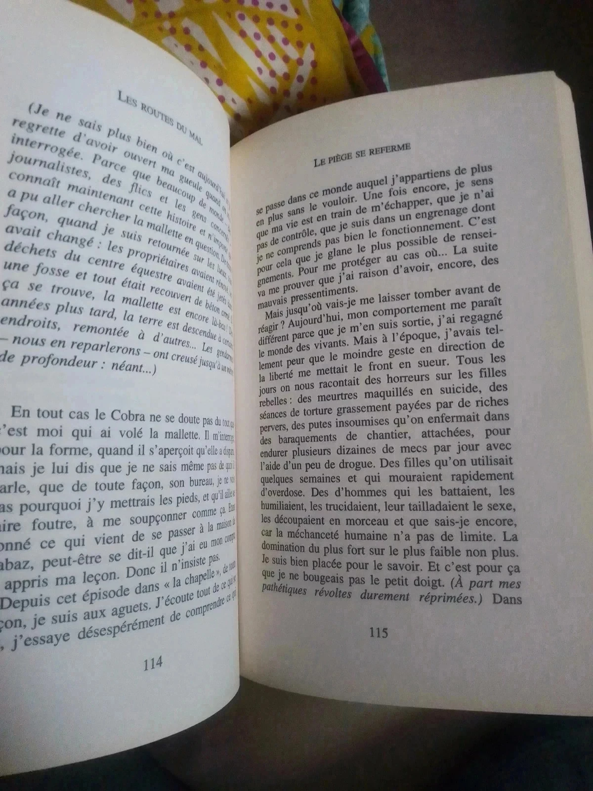 Fanny mijn zwarte nachten in de roze stad – photo 3